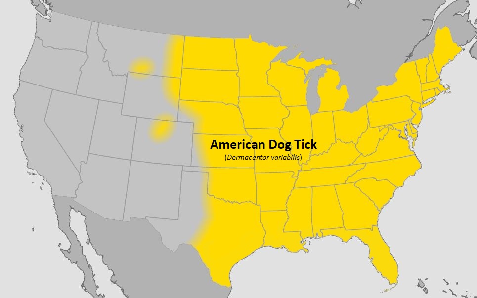 Approximate U.S. distribution of the American Dog Tick (Dermacentor variabilis).