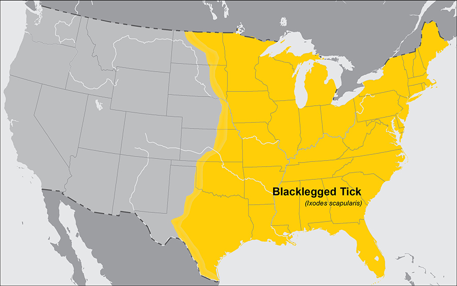 Approximate U.S. distribution of the Blacklegged Tick (Ixodes scapularis).