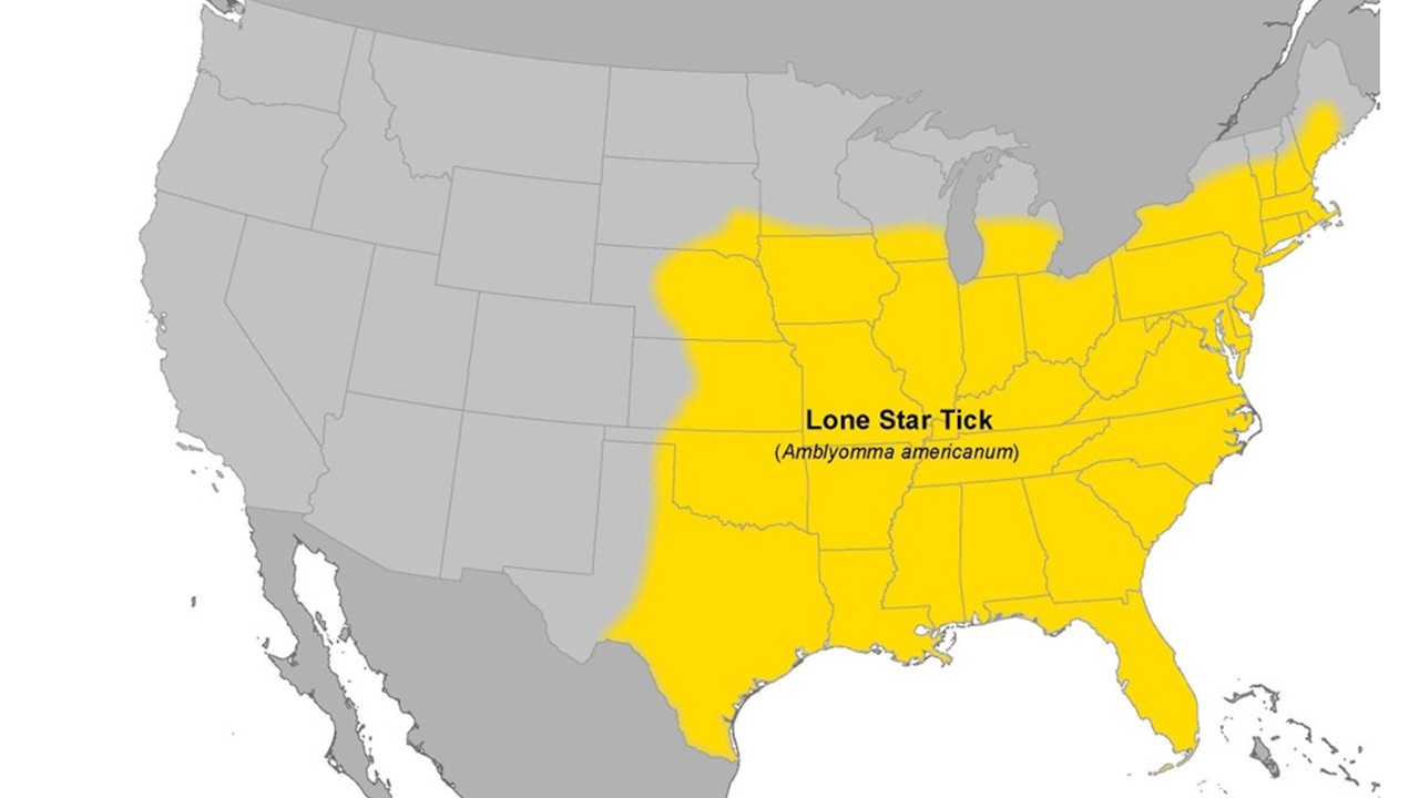 Approximate U.S. distribution of the Lone Star Tick (Amblyomma americanum).