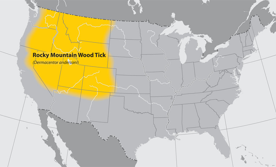 Approximate U.S. distribution of the Rocky Mountain Wood Tick (Dermacentor andersoni).
