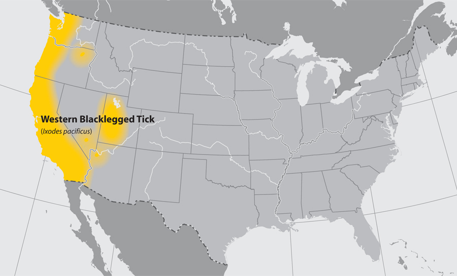 Approximate U.S. distribution of the Western Blacklegged Tick (Ixodes pacificus).